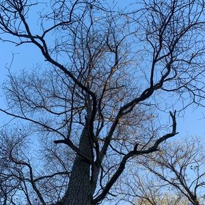 Meet your Posher, Mary kate